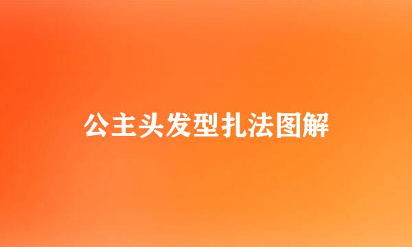 公主头发型扎法图解