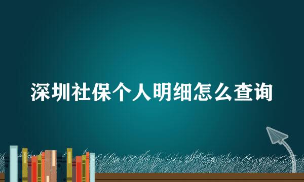 深圳社保个人明细怎么查询