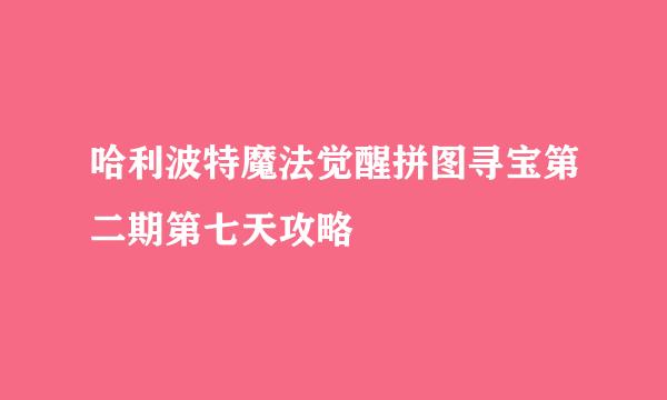 哈利波特魔法觉醒拼图寻宝第二期第七天攻略