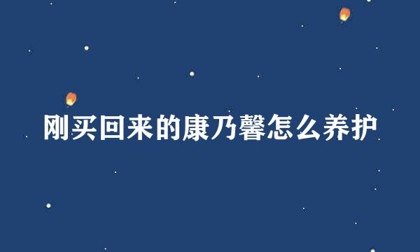 刚买回来的康乃馨怎么养护