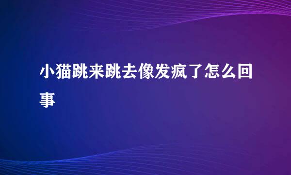 小猫跳来跳去像发疯了怎么回事