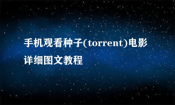 手机观看种子(torrent)电影详细图文教程