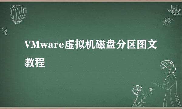 VMware虚拟机磁盘分区图文教程