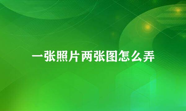 一张照片两张图怎么弄