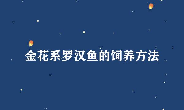 金花系罗汉鱼的饲养方法