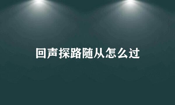 回声探路随从怎么过