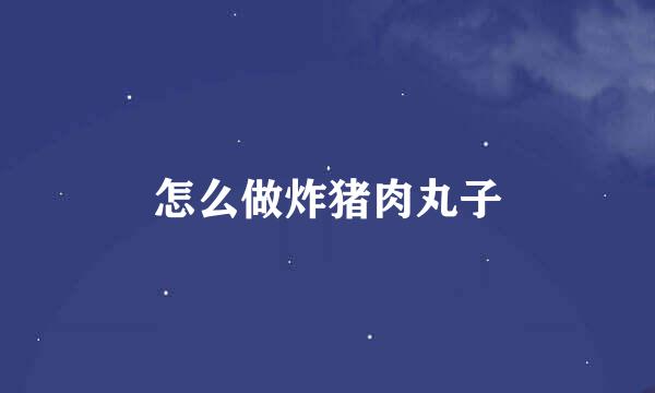 怎么做炸猪肉丸子