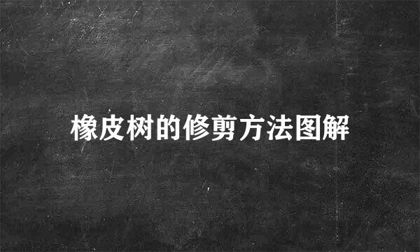 橡皮树的修剪方法图解