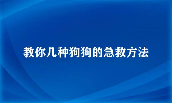 教你几种狗狗的急救方法