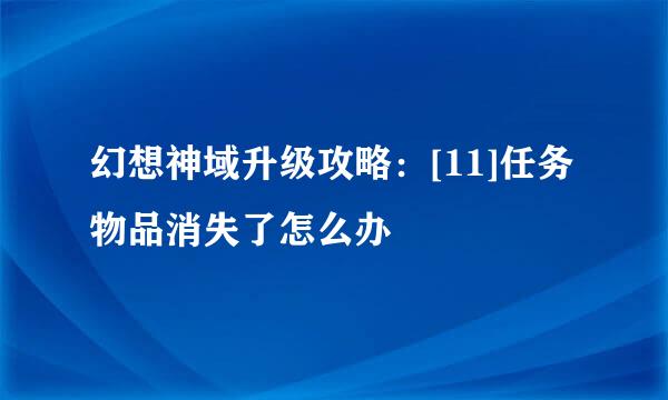 幻想神域升级攻略：[11]任务物品消失了怎么办