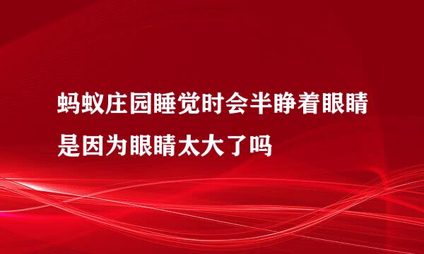 蚂蚁庄园睡觉时会半睁着眼睛是因为眼睛太大了吗