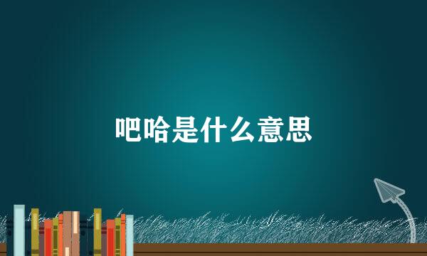 吧哈是什么意思