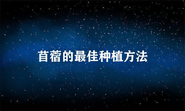 苜蓿的最佳种植方法