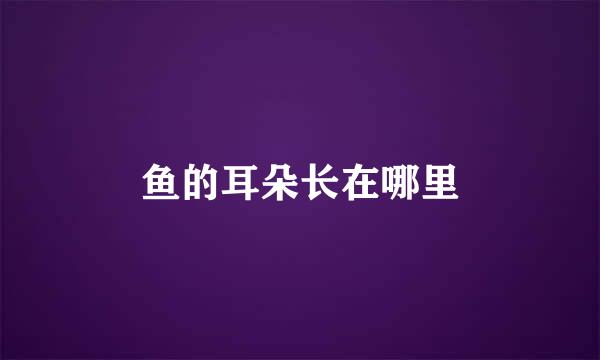 鱼的耳朵长在哪里