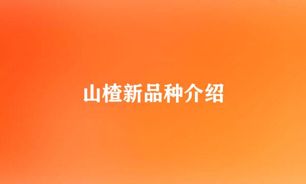 山楂新品种介绍