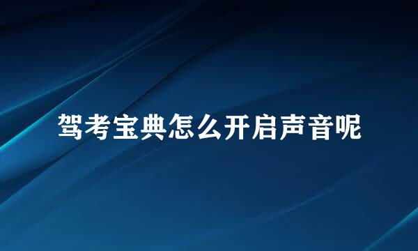 驾考宝典怎么开启声音呢