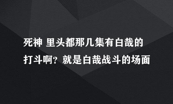 死神 里头都那几集有白哉的打斗啊？就是白哉战斗的场面