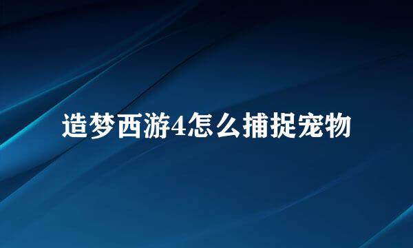 造梦西游4怎么捕捉宠物