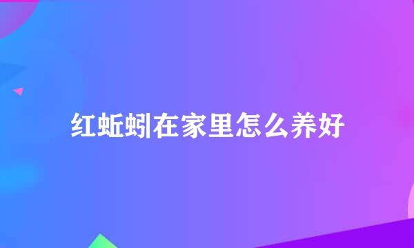 红蚯蚓在家里怎么养好
