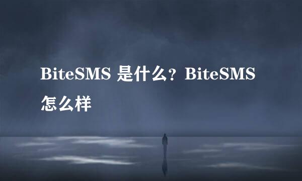 BiteSMS 是什么？BiteSMS 怎么样