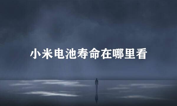 小米电池寿命在哪里看