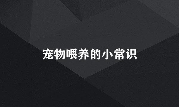 宠物喂养的小常识