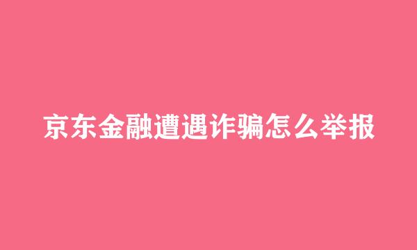 京东金融遭遇诈骗怎么举报