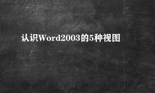 认识Word2003的5种视图