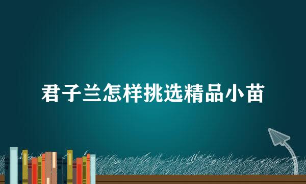 君子兰怎样挑选精品小苗