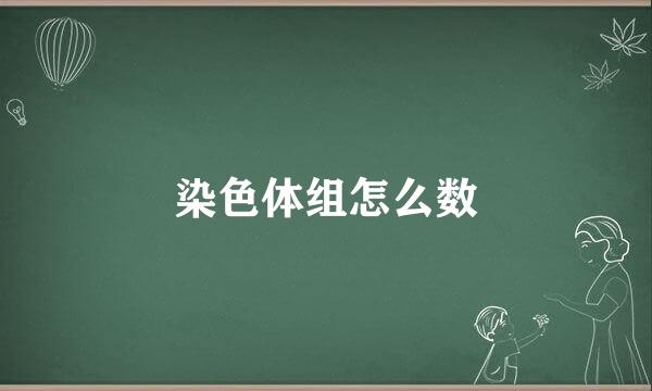 染色体组怎么数