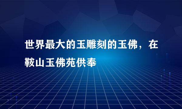 世界最大的玉雕刻的玉佛，在鞍山玉佛苑供奉
