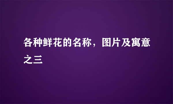 各种鲜花的名称，图片及寓意之三