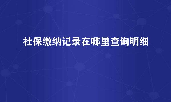 社保缴纳记录在哪里查询明细