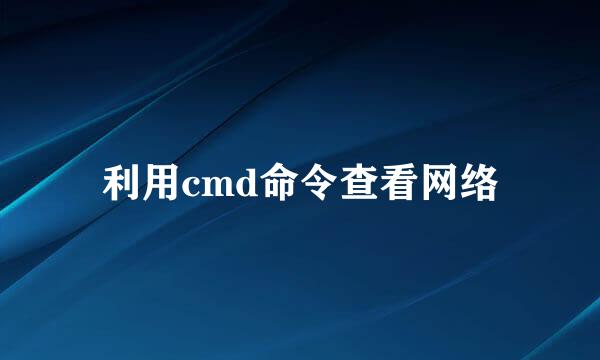 利用cmd命令查看网络