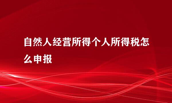 自然人经营所得个人所得税怎么申报
