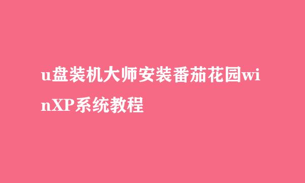 u盘装机大师安装番茄花园winXP系统教程