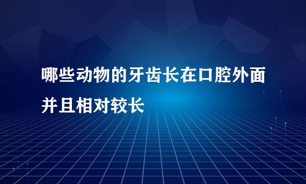 哪些动物的牙齿长在口腔外面并且相对较长