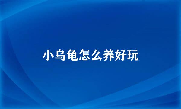 小乌龟怎么养好玩