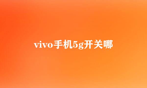 vivo手机5g开关哪