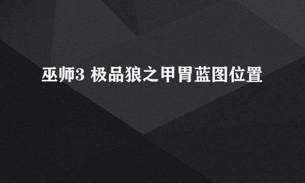 巫师3 极品狼之甲胃蓝图位置