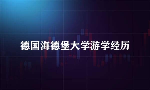 德国海德堡大学游学经历