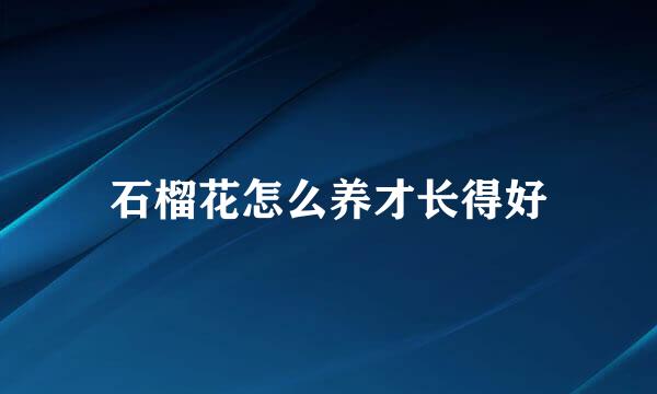 石榴花怎么养才长得好