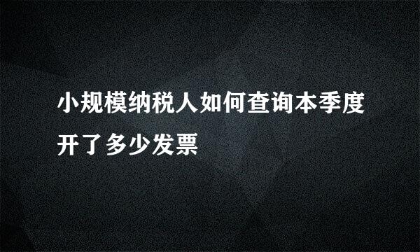 小规模纳税人如何查询本季度开了多少发票