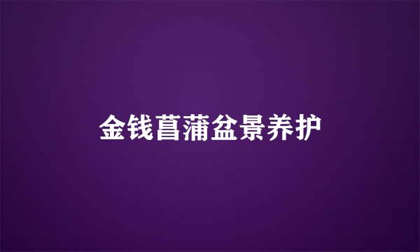 金钱菖蒲盆景养护