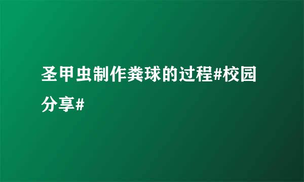 圣甲虫制作粪球的过程#校园分享#