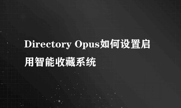 Directory Opus如何设置启用智能收藏系统