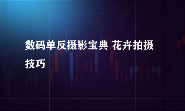 数码单反摄影宝典 花卉拍摄技巧