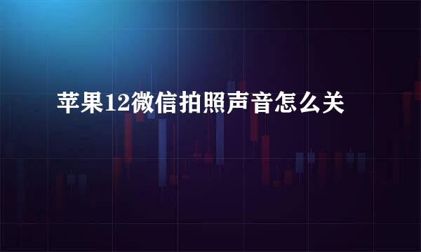 苹果12微信拍照声音怎么关