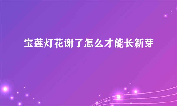 宝莲灯花谢了怎么才能长新芽