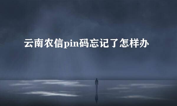 云南农信pin码忘记了怎样办